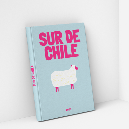 SUR DE CHILE BONITO